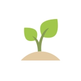 Growing tree